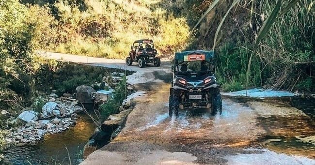 1 Hour Tour