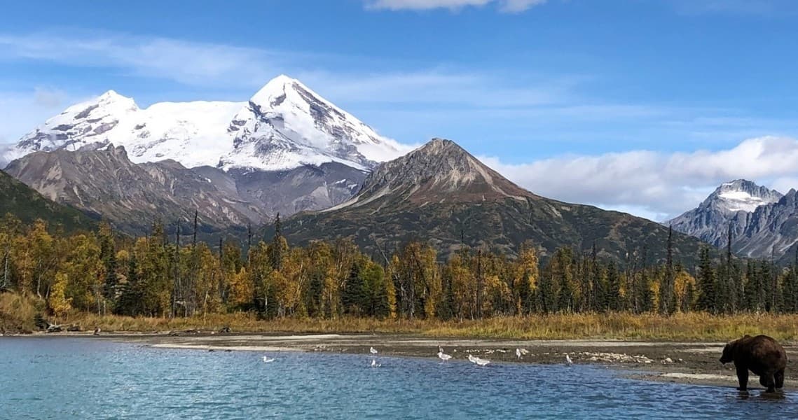 Fly Out Fishing: Crescent Lake: Salmon, Dolly Varden, Lake Trout, Bear Viewing