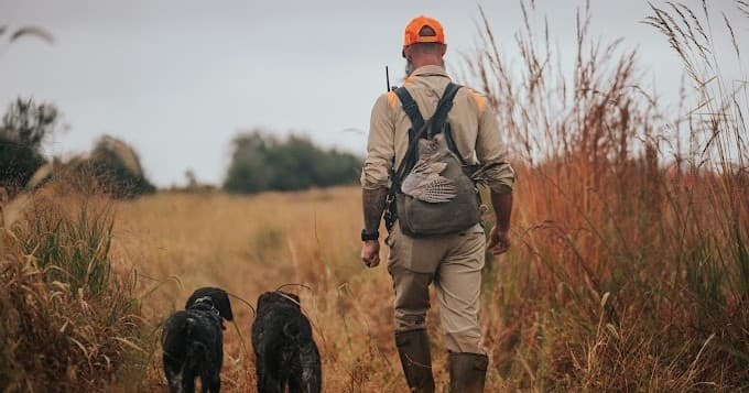 Driven Targets with a Trapper
