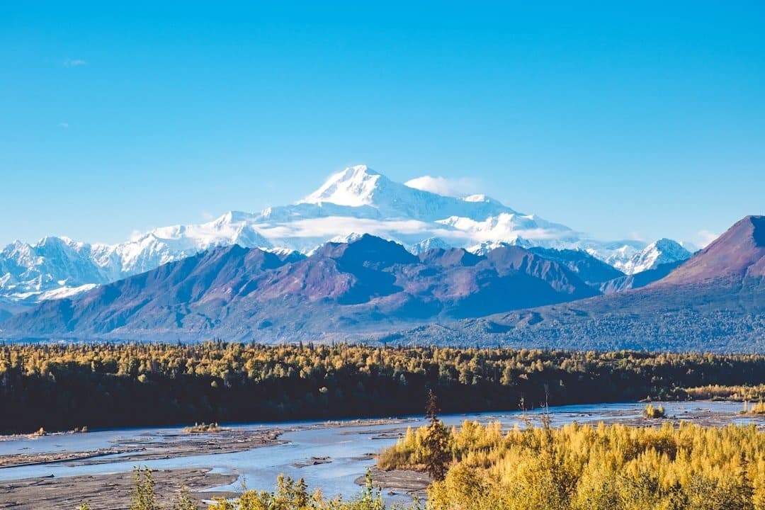 Fairbanks to Denali Day Trip
