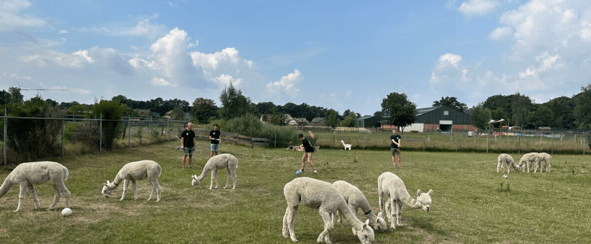 Boerengolf in teamverband