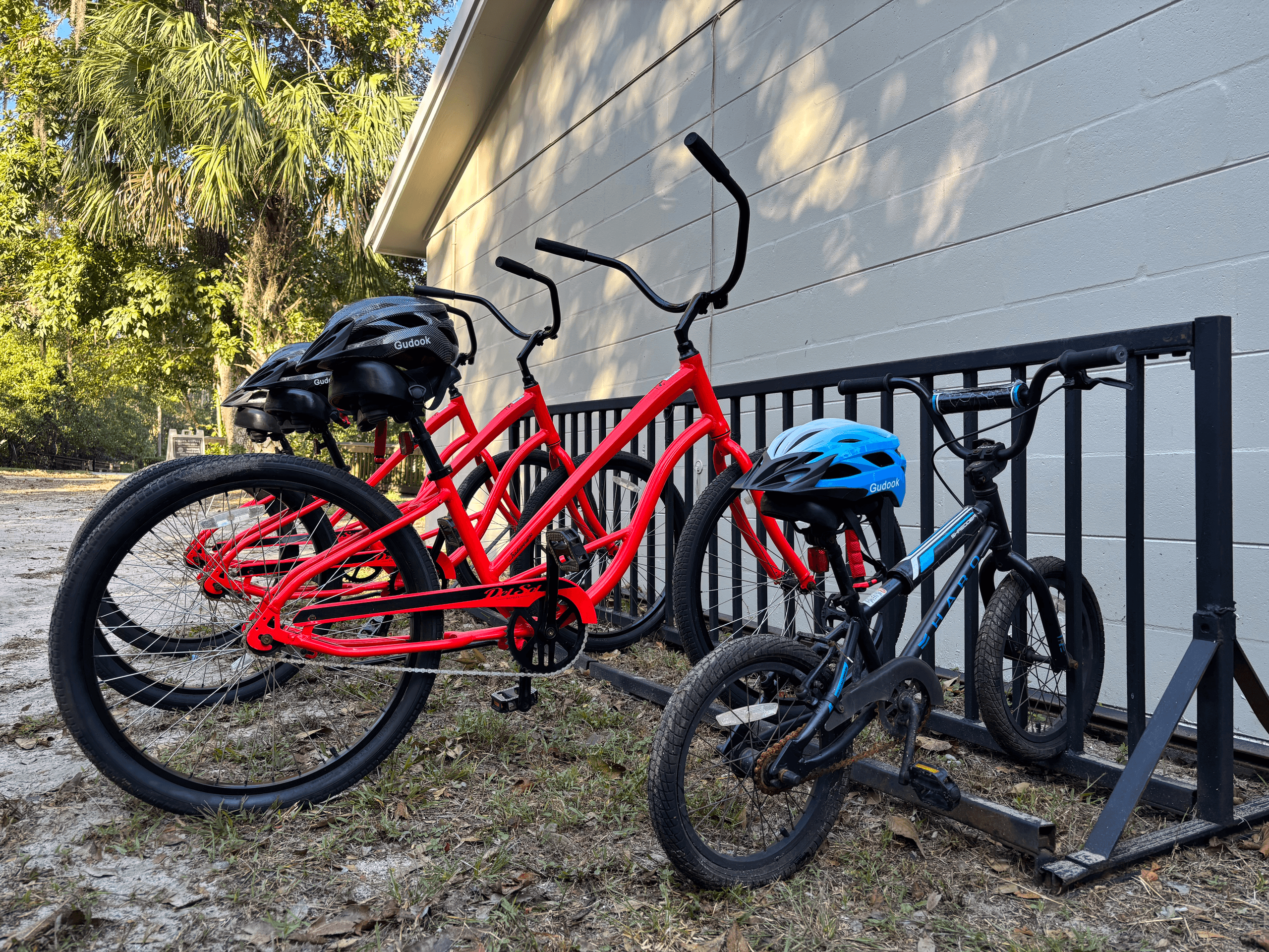 Bike Rental