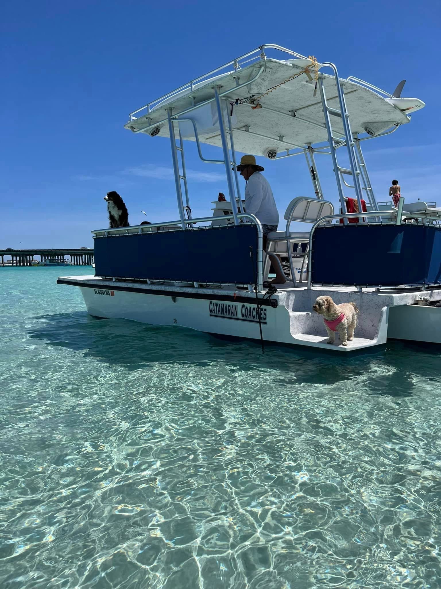 Just a Splash - Crab Island