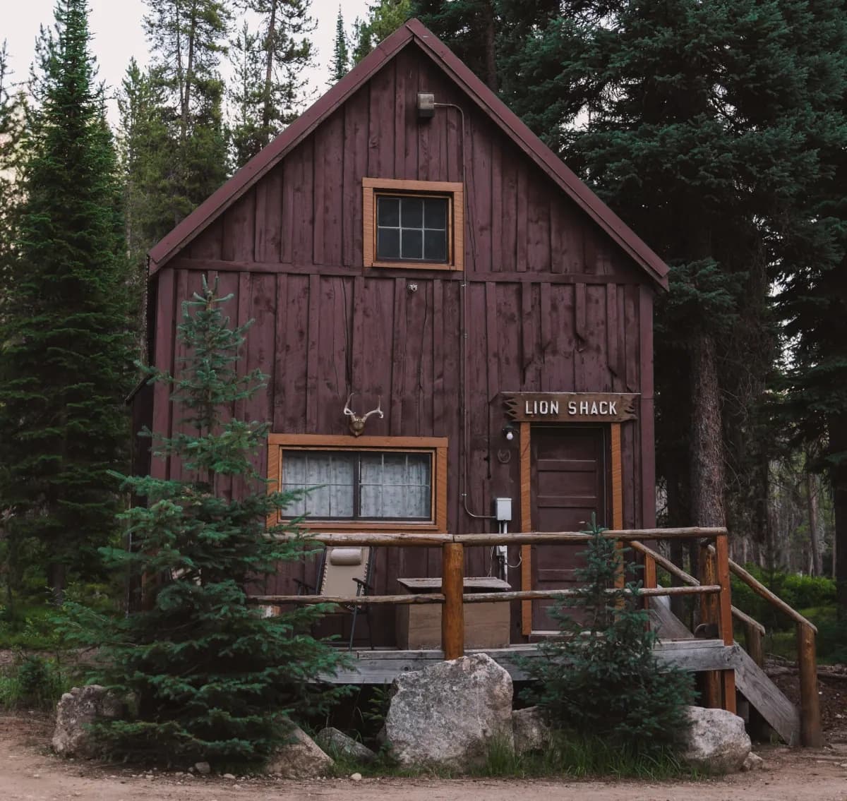The Lion Shack" Cabin Rentals"