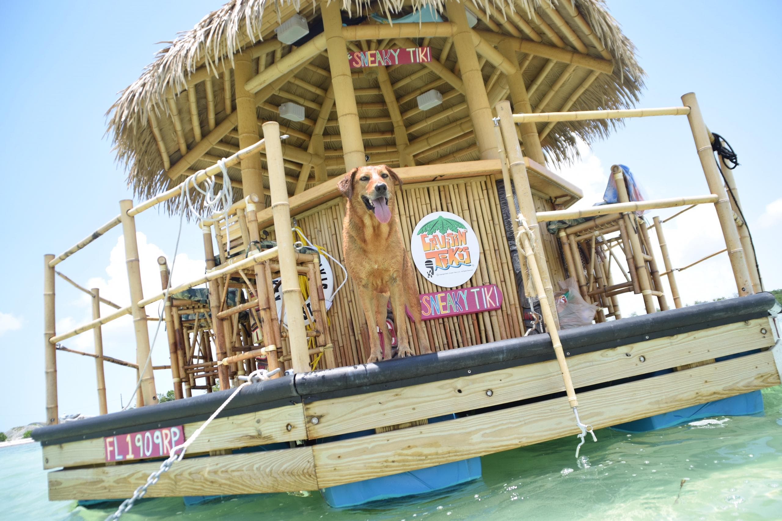 Sandbar Cruise - Hurricane Hole Marina