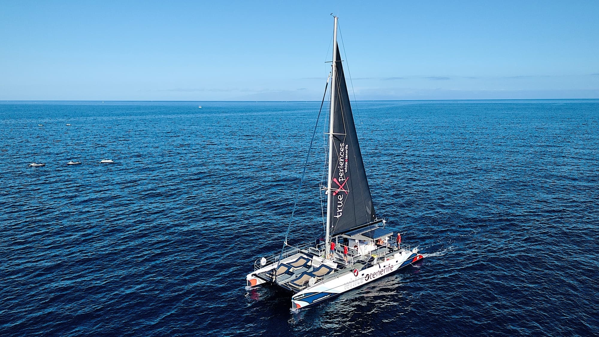 Avistamiento y escucha de ballenas y delfines en eco catamarán (3 hrs.)