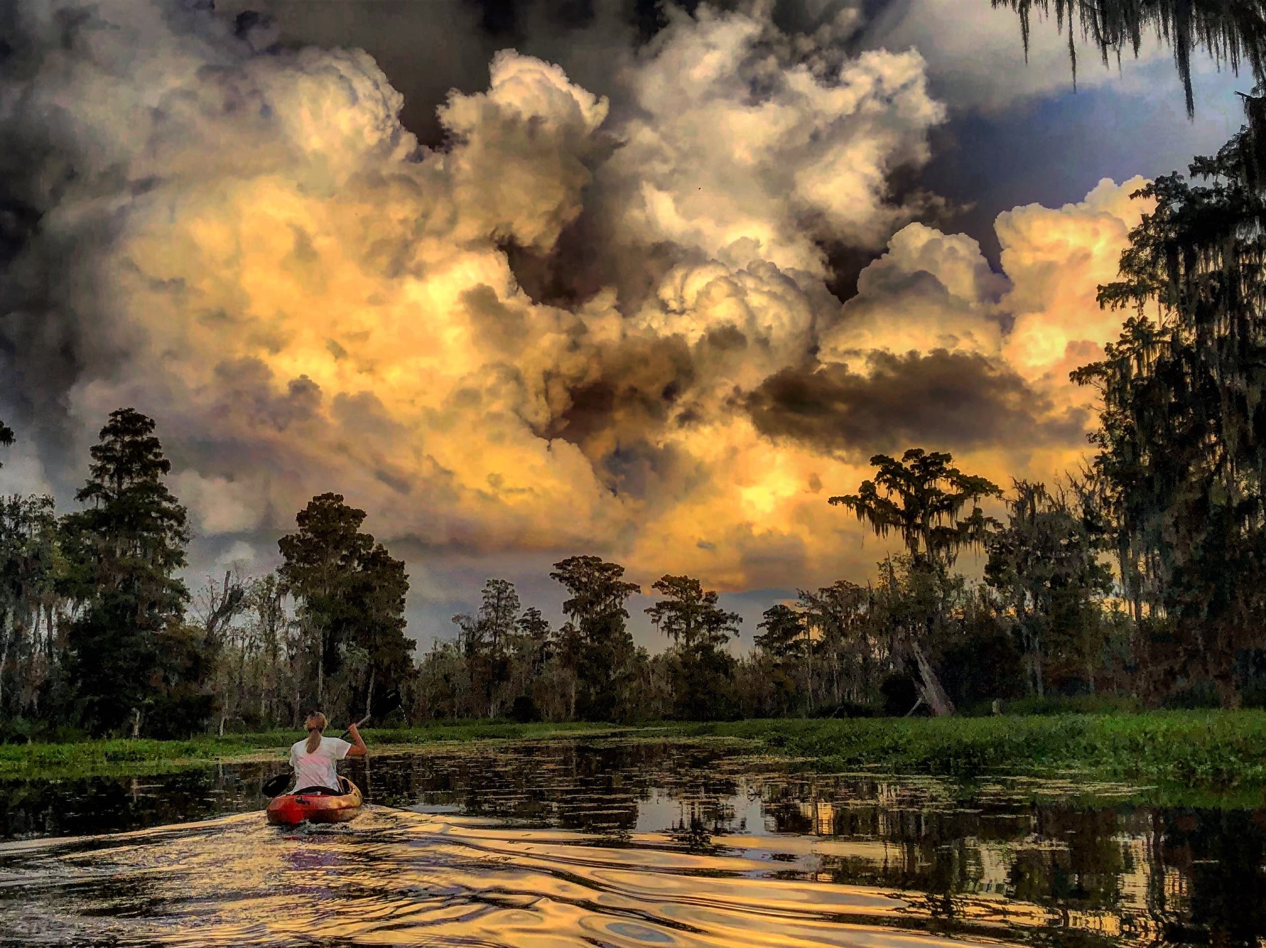 Honey Island Kayak Swamp Tour.  *Summertime Favorite*