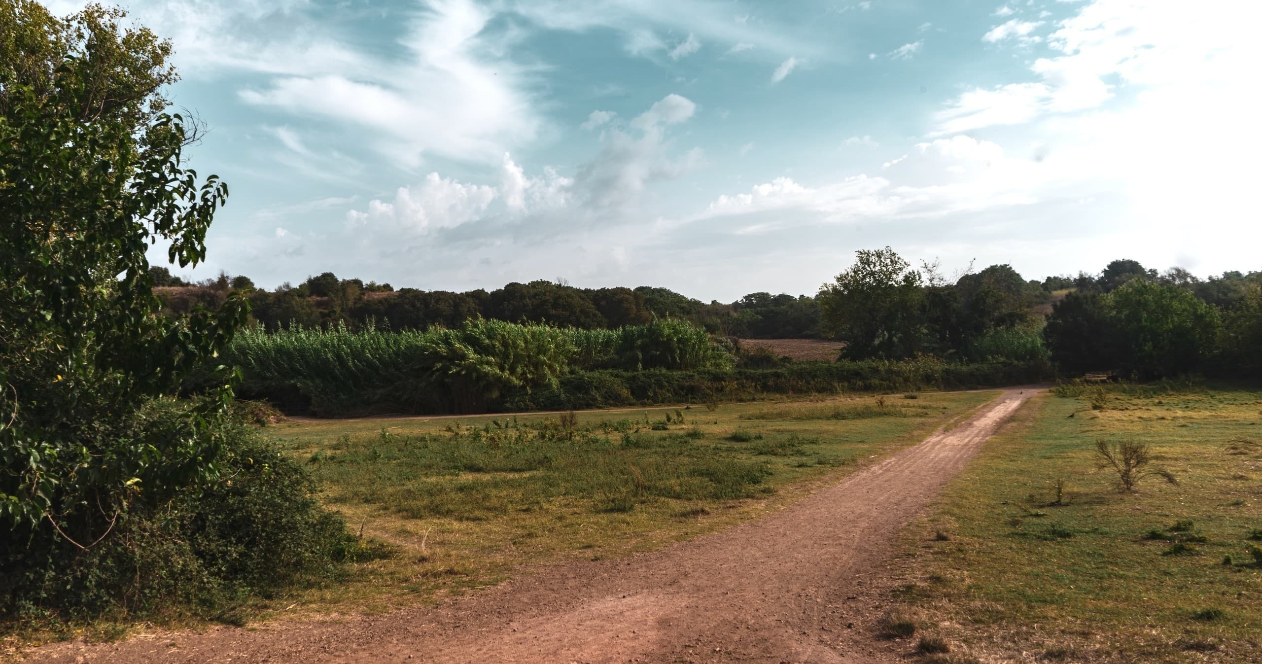 Guided Walk in Rome's Secret Nature Park