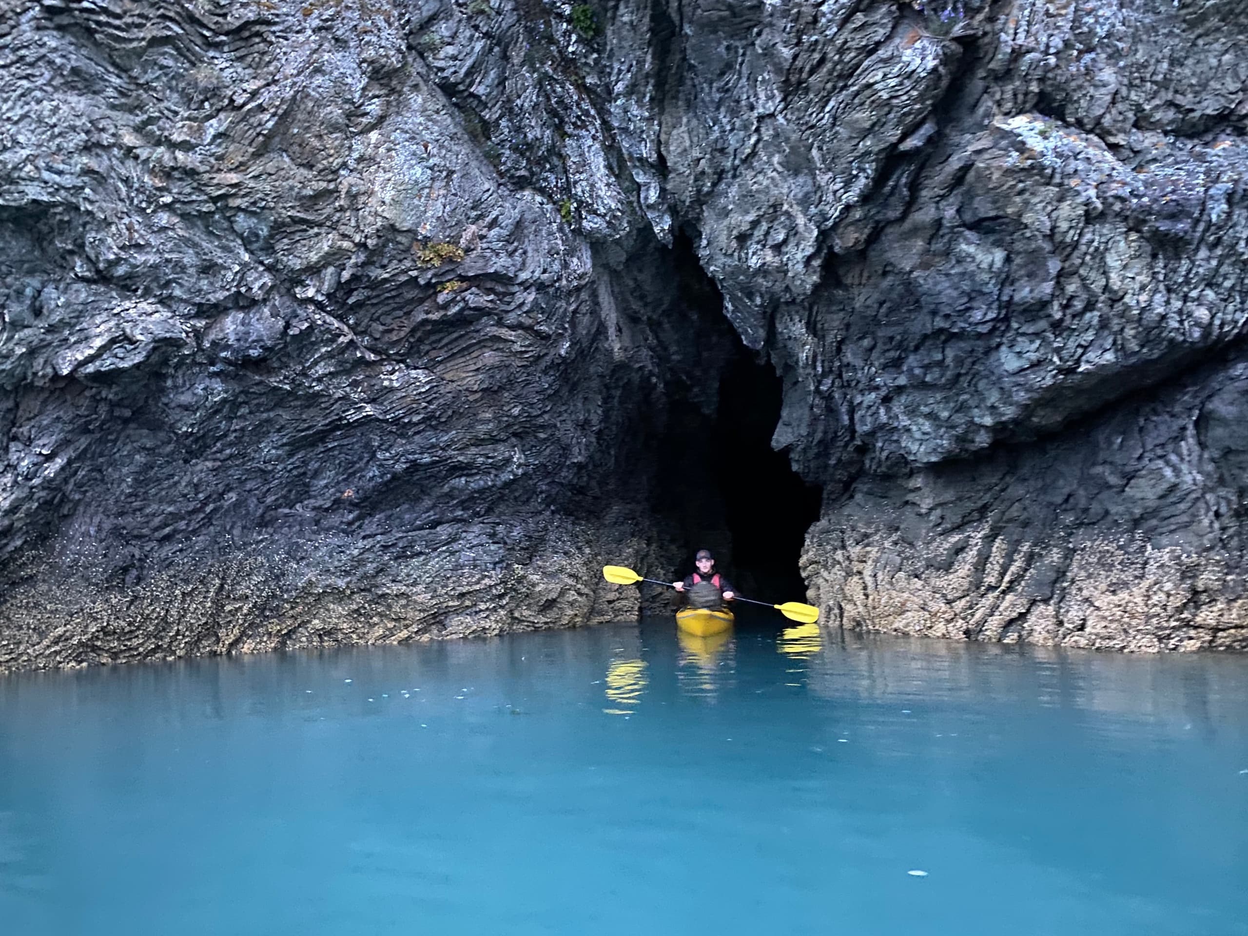 Half-Day Halibut Cove Sea Kayak