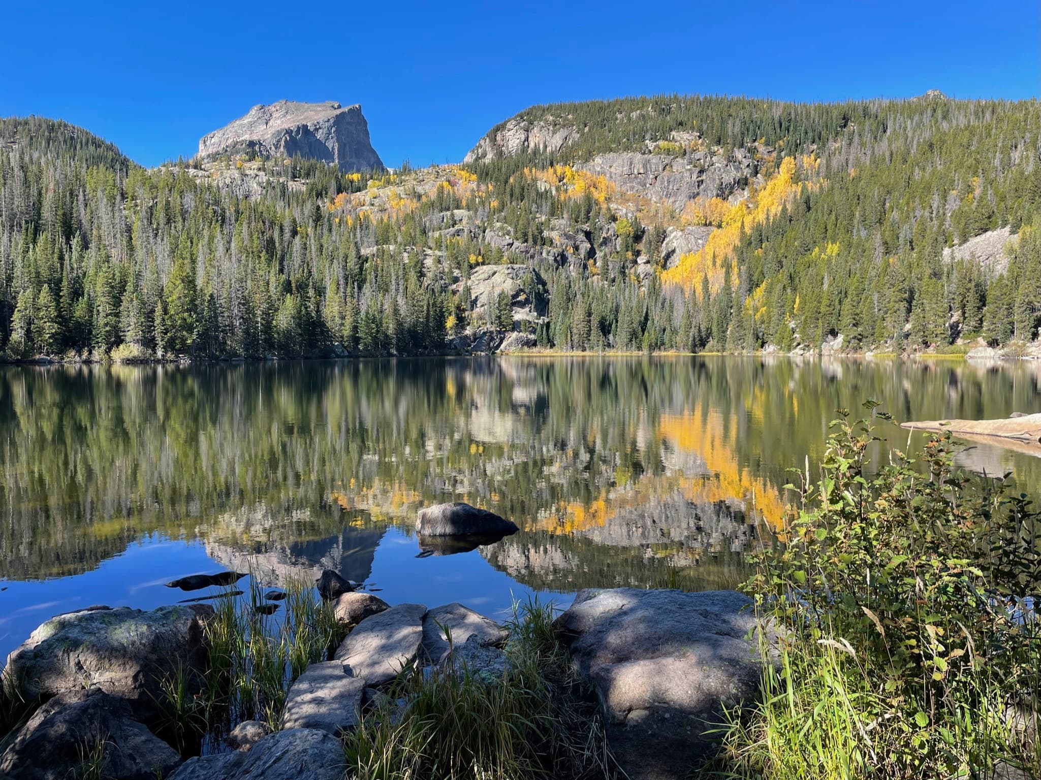 Rocky Mountain National Park Private 4 Hour Tour