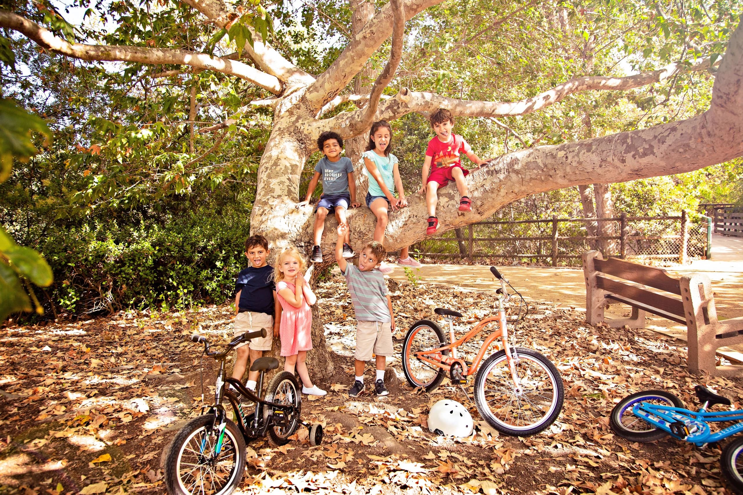 Child Bike 24 Rental