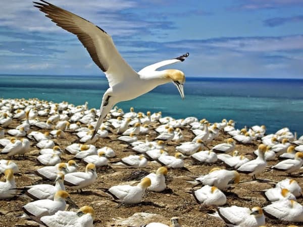 Coast to Coast Eco Tour Private Tour
