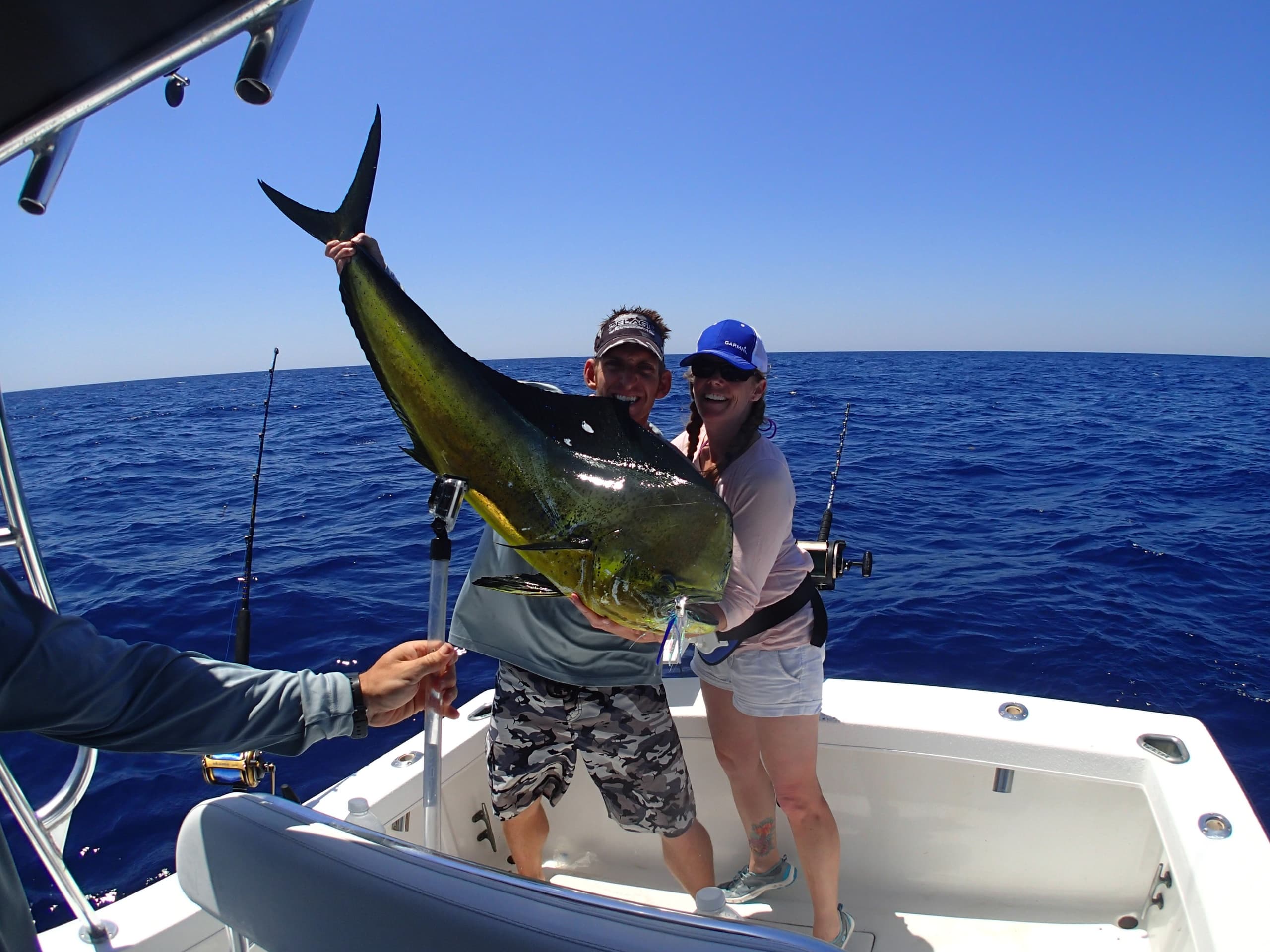 Focused Mahi Sailfish on 33' Stuart Angler