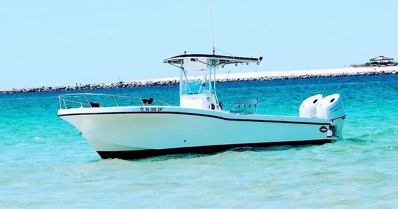 3 Hour Snorkeling & Dolphin Tour