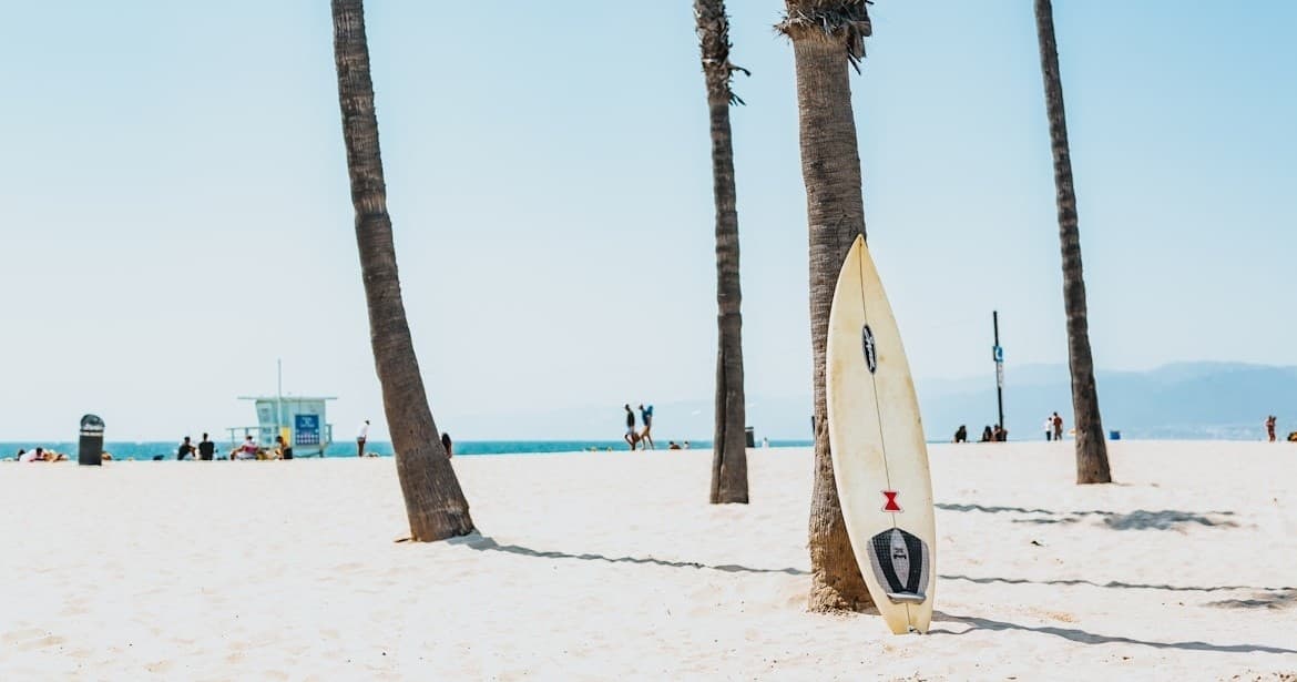 Surf Board