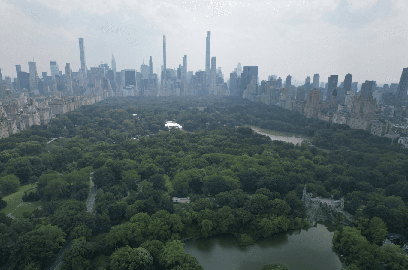 Official VIP Entire Central Park Horse Carriage Tour