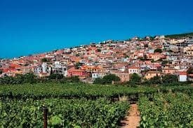 Eco Bike - Discover the Real Crete & Olive oil Factory
