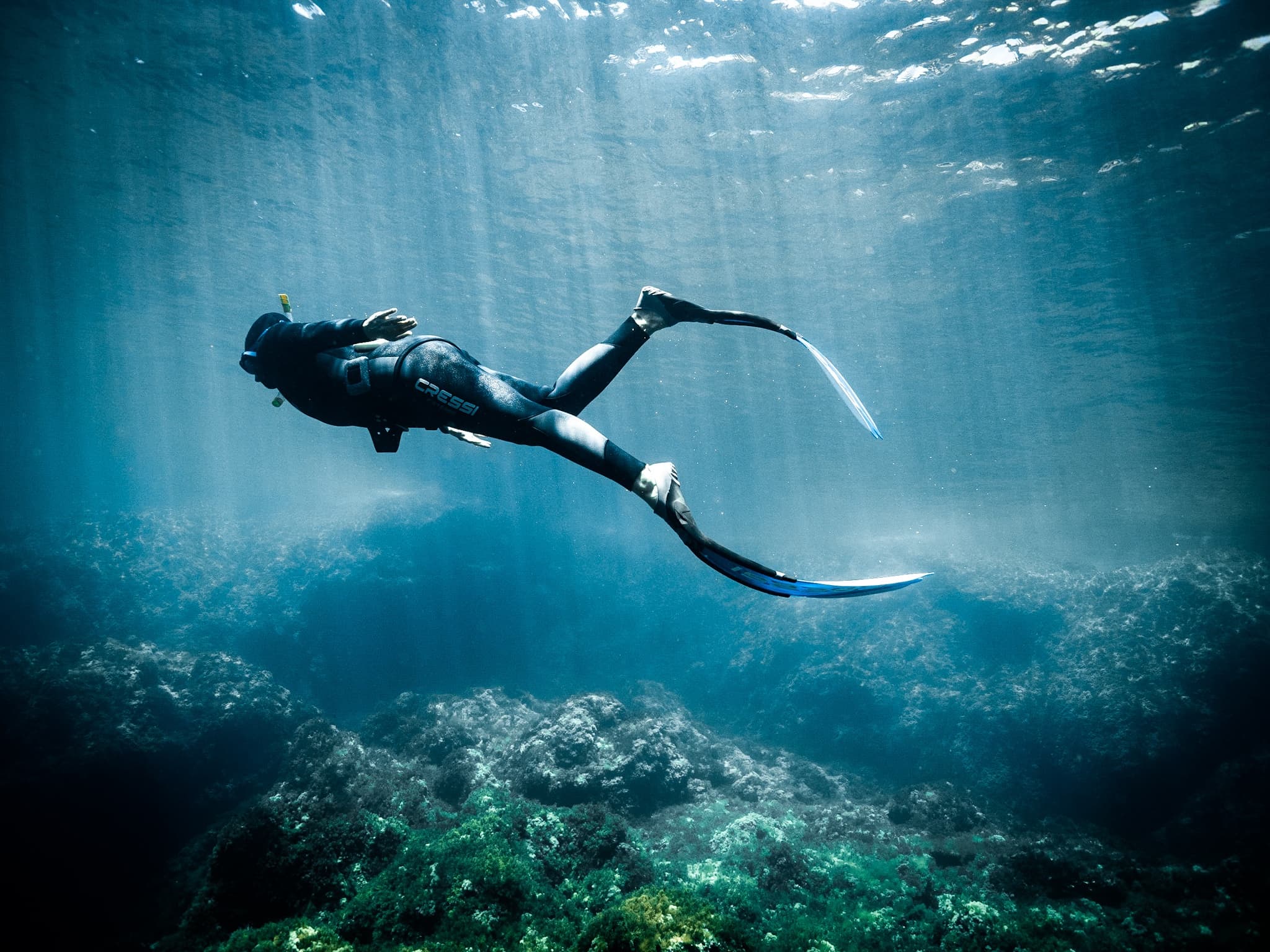 Apnea Nivel 1 / Freedive