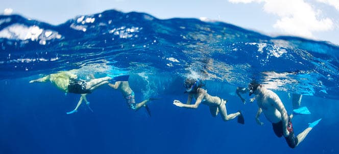 Snorkel Gear Rental