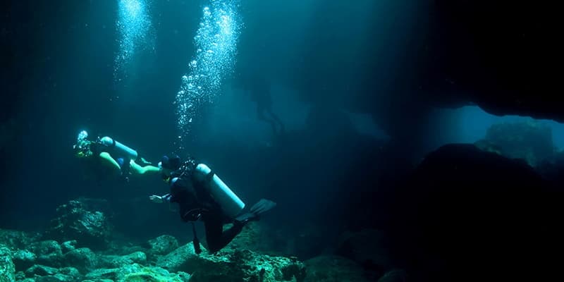 Twilight & Shallow Night Dive