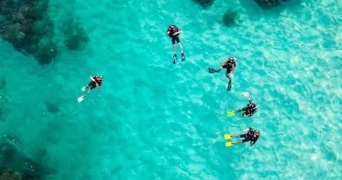 DIVEMASTER COURSE SDI