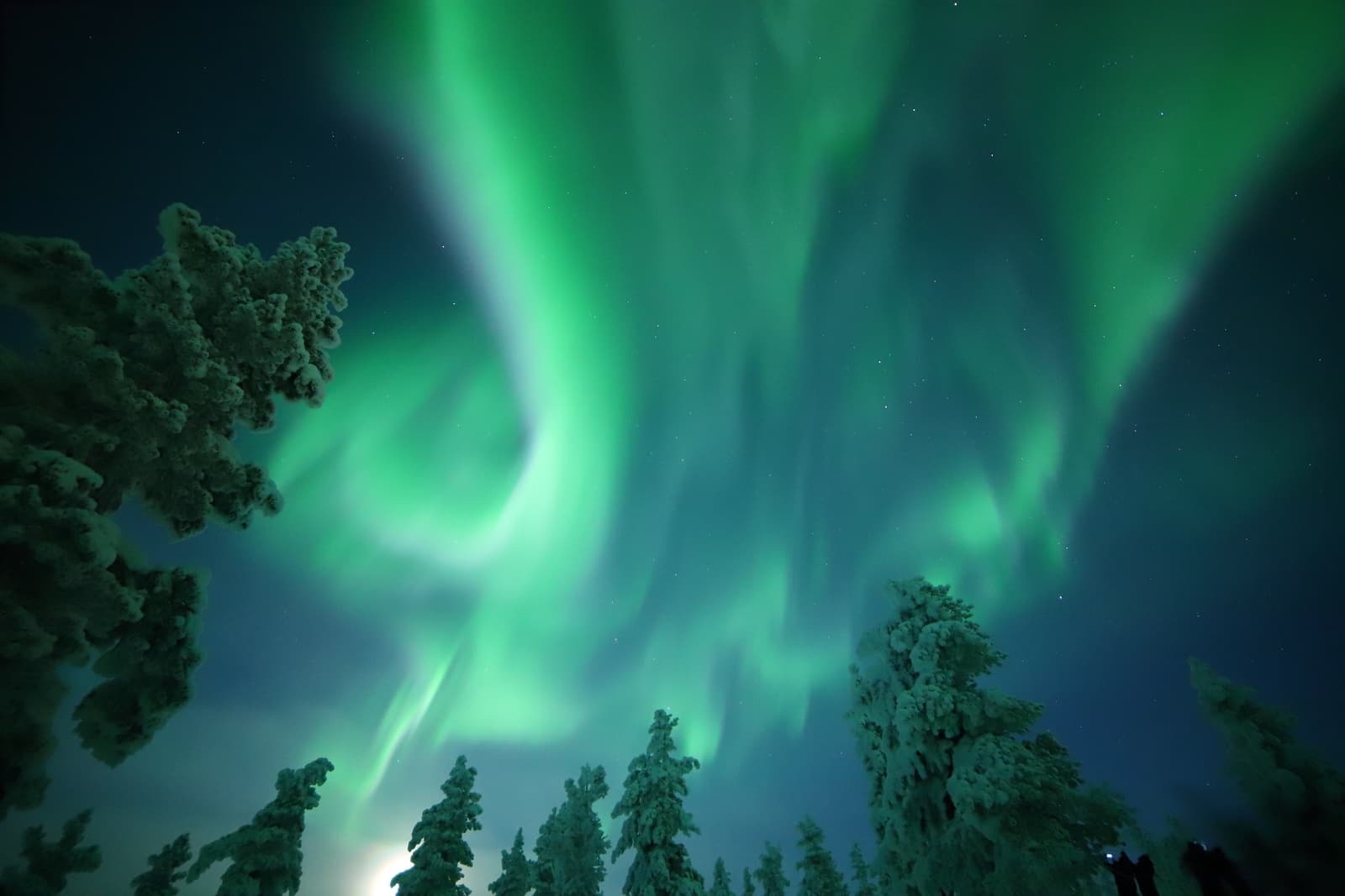 [A5] Aurora Photography Workshop (1h)