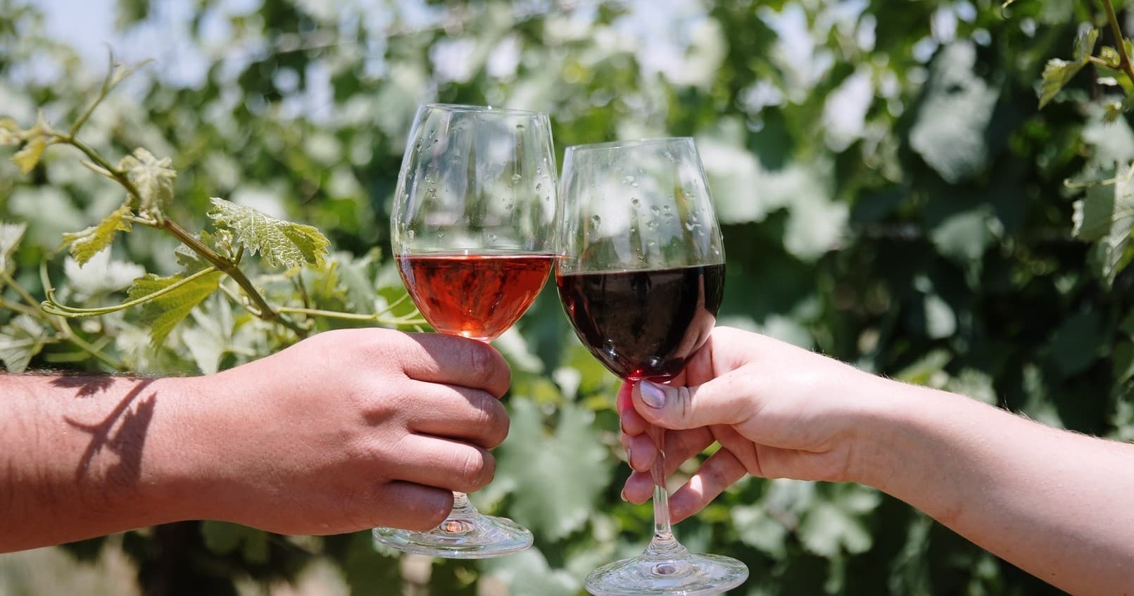 Wineries & Art Tour from Taos