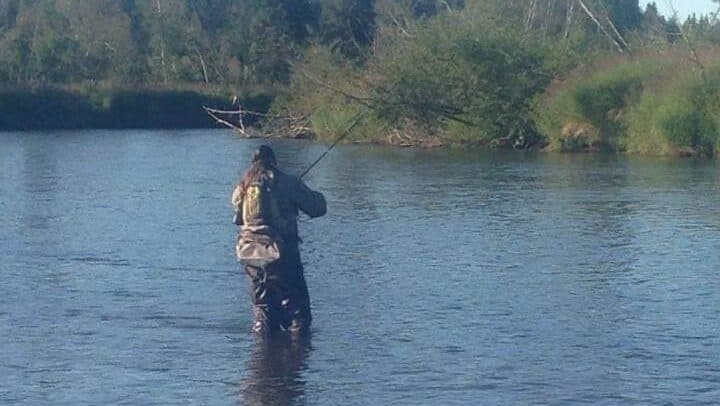 River Wading Salmon species