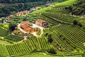 Valpolicella Wine Experience