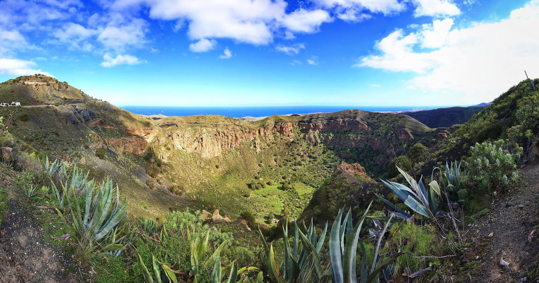 Tour medio dia descubrimos volcanes y viñedos