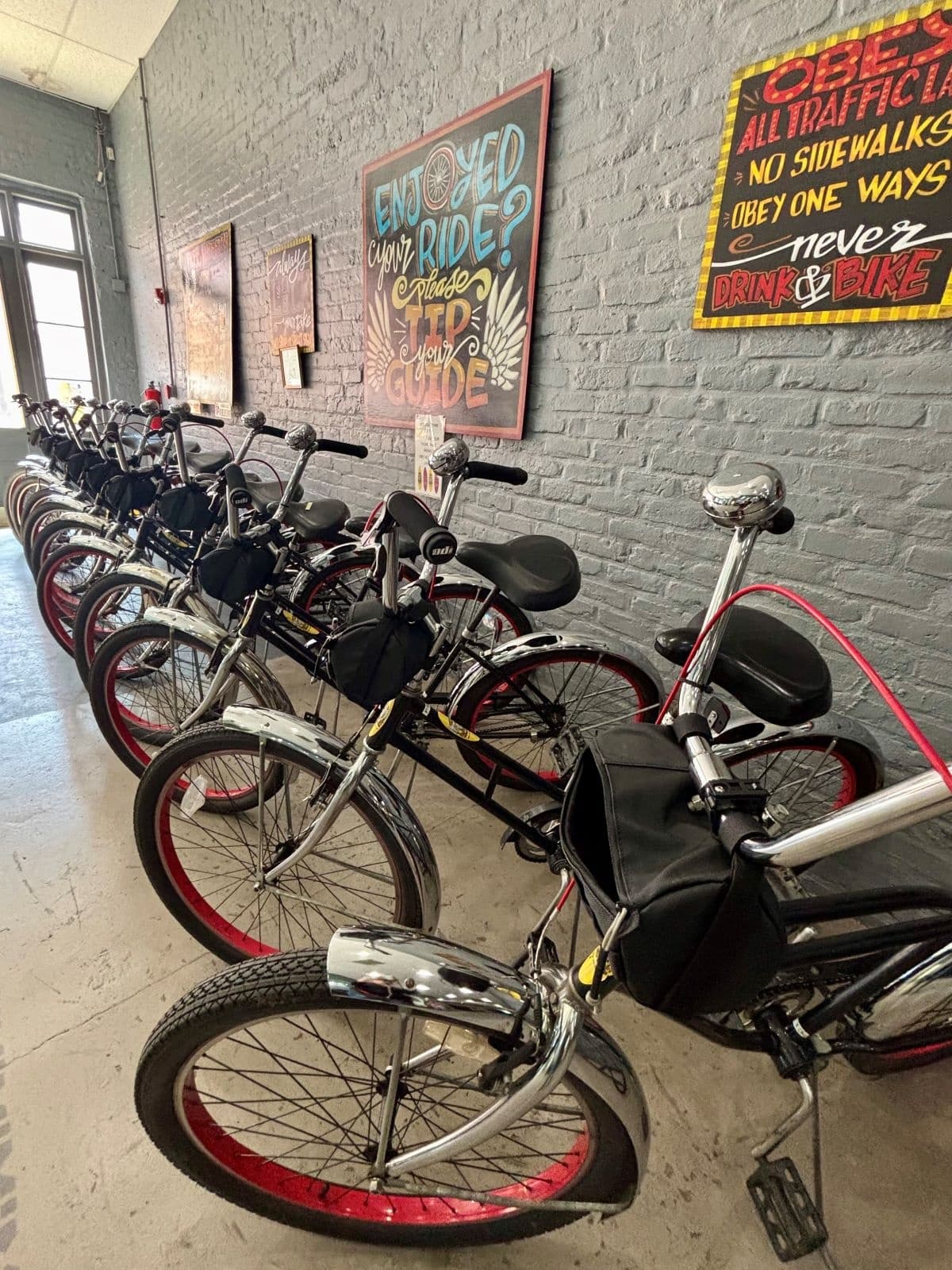 24-Hour Cruiser Bike Rental