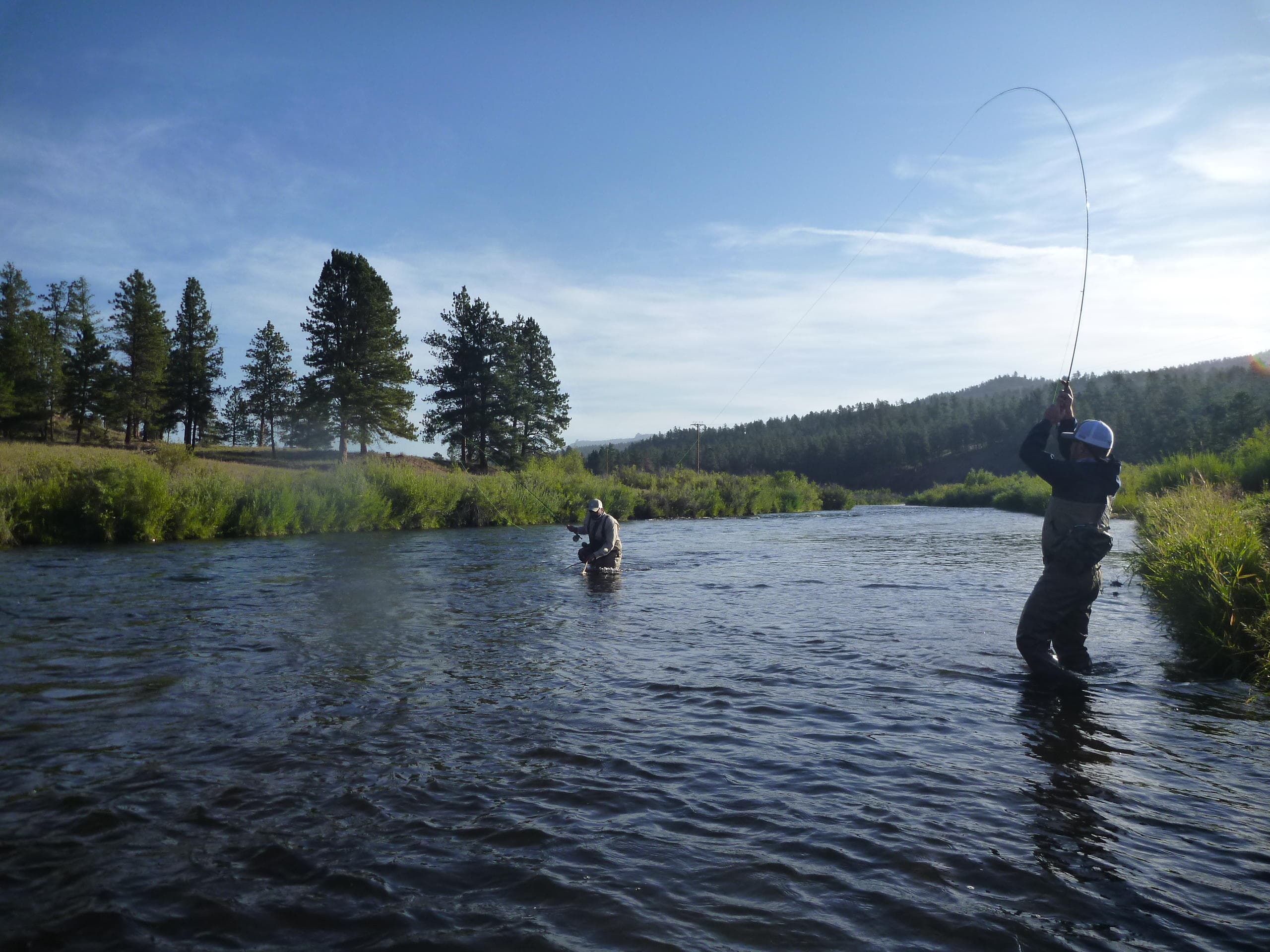 Half Day Fly Fishing