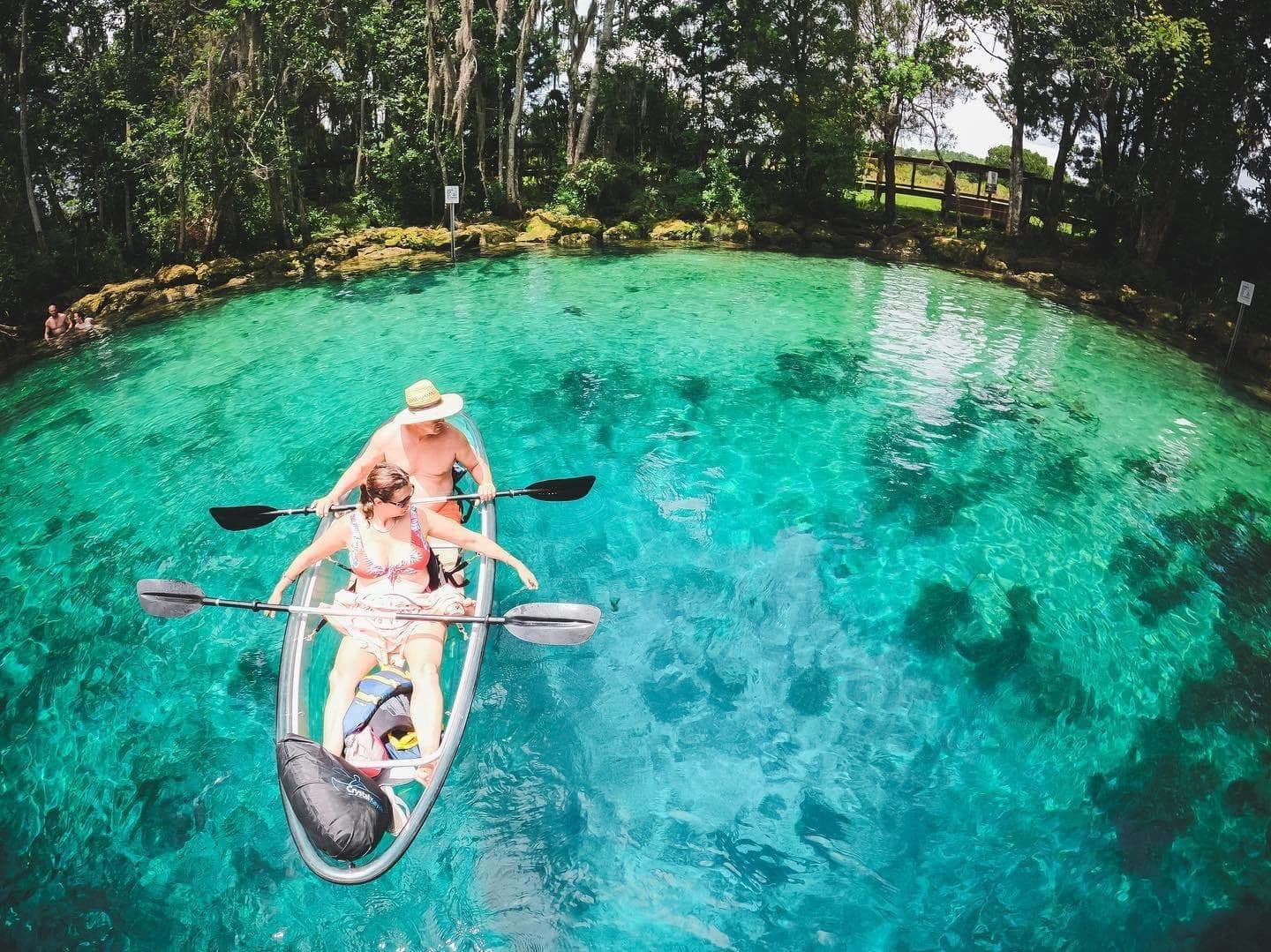 Clear Kayak Three Sisters Springs & Manatee Tour