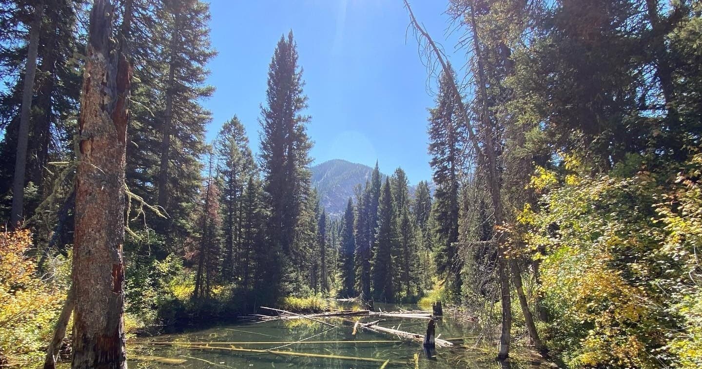 Combo - Hoback Peak Tent
