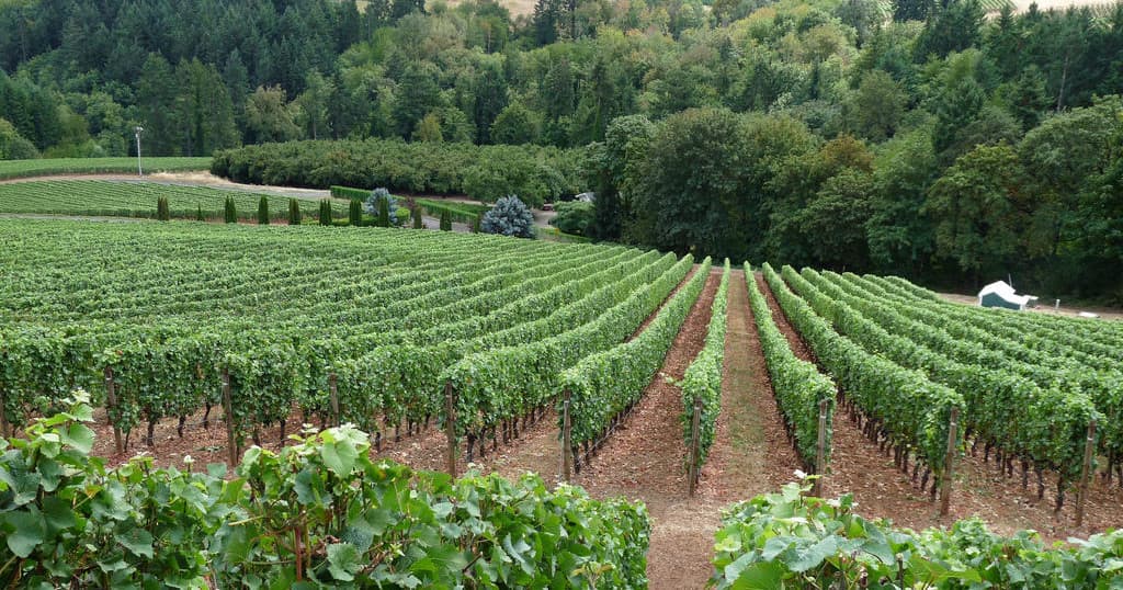Private Tour