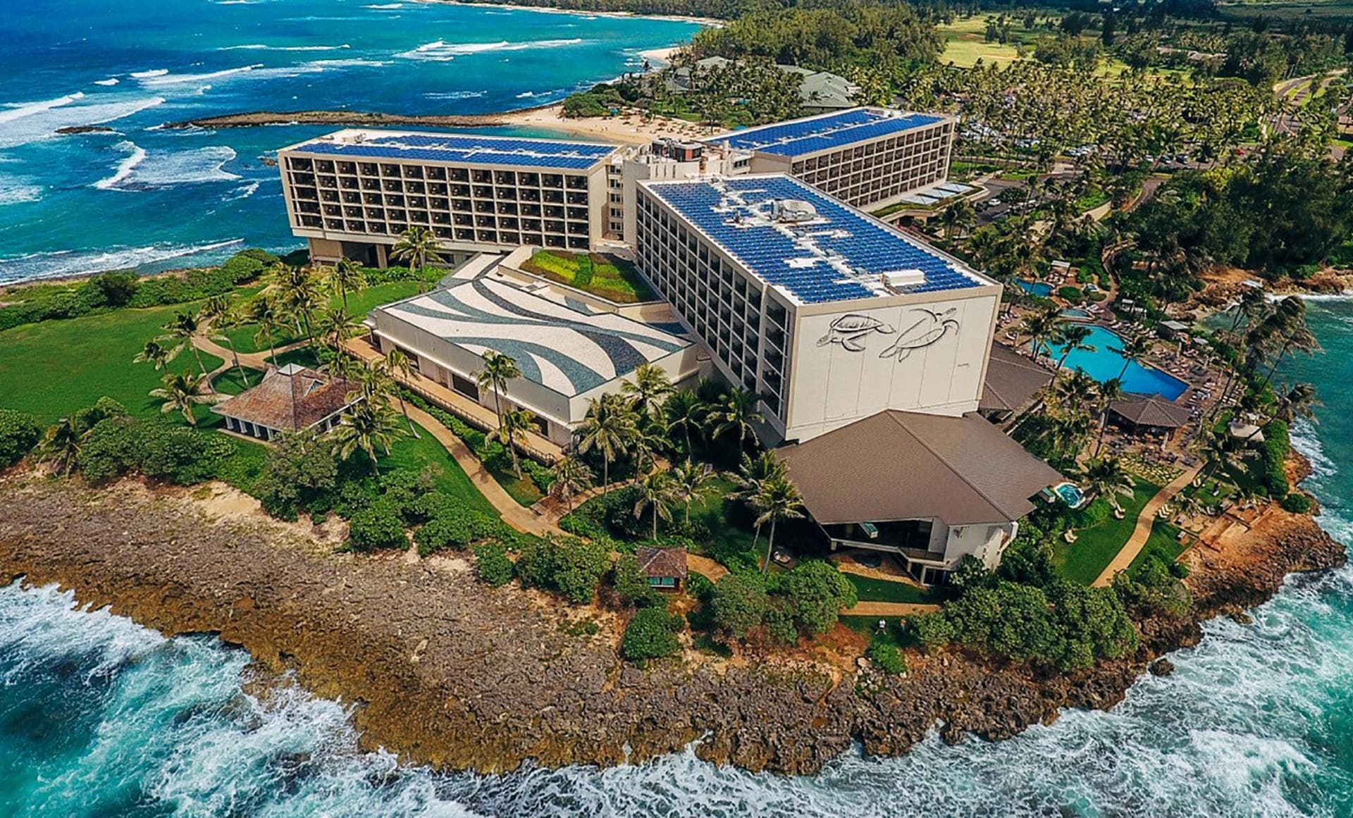 「Luxury Passenger Van Arrival」Honolulu Airport ⮕ North Shore Hotels Exclusive Transfer
