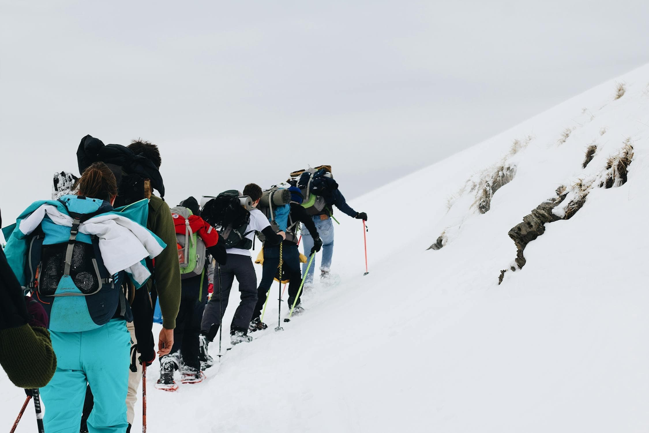 Snowshoeing adventure (3 hours) beginners