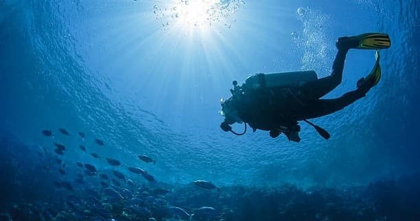 4 Dives