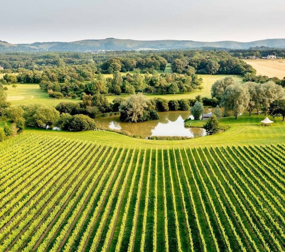 Albourne Winery  & South Downs eBike Tour