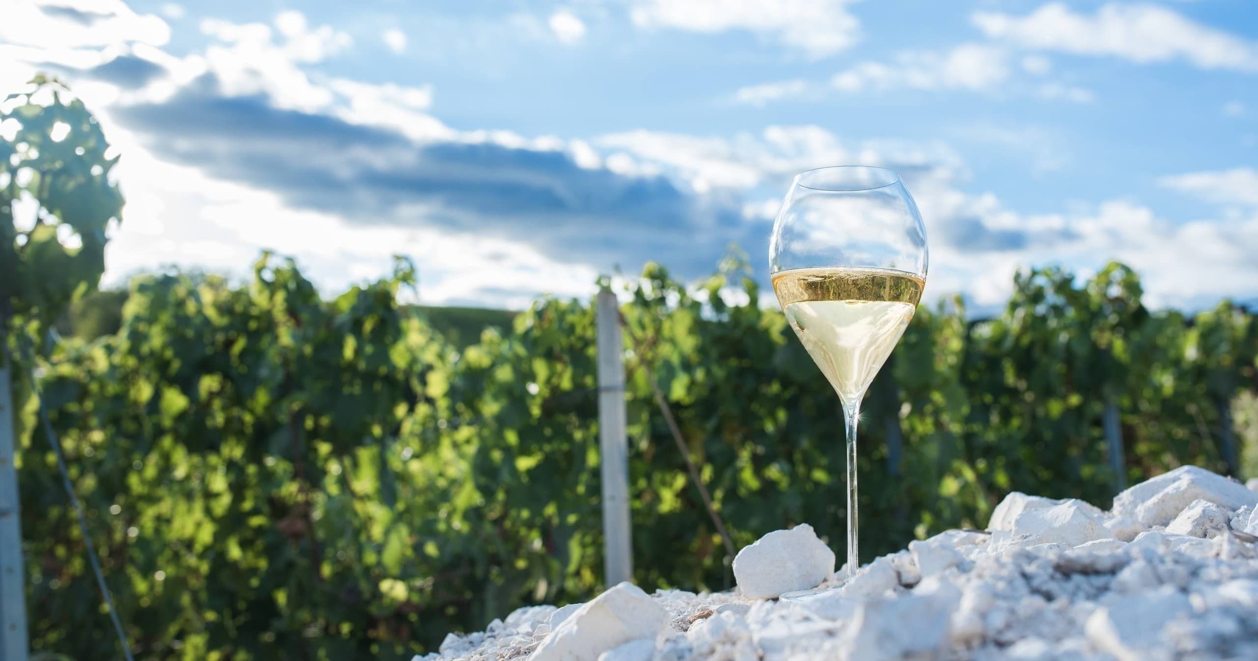 Champagne Vintage Experience