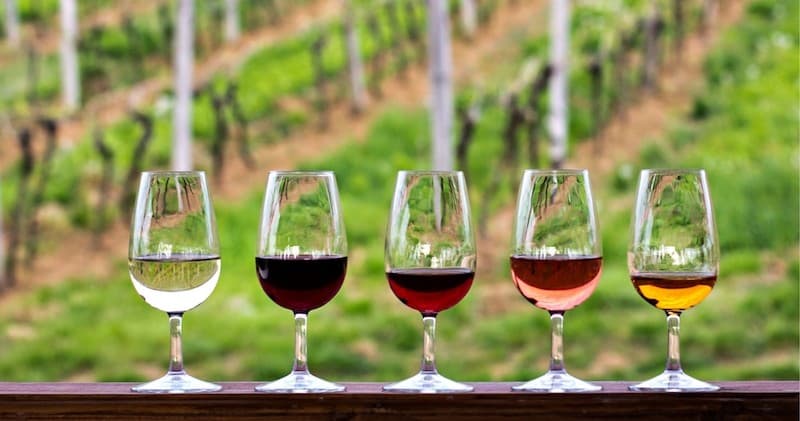 Half-Day Hill Country Wine Shuttle