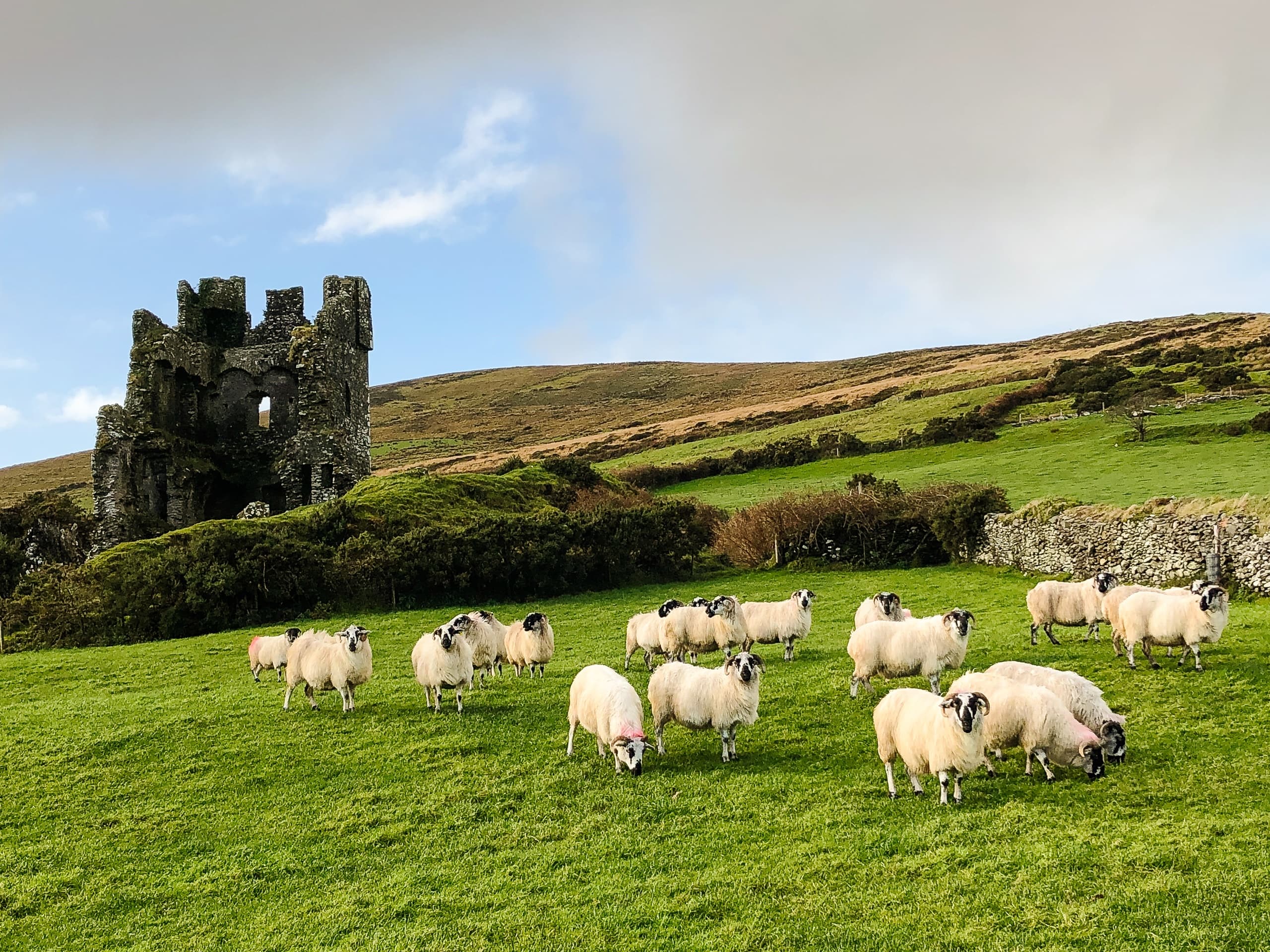 Dingle Peninsula Photo Tour from Killarney