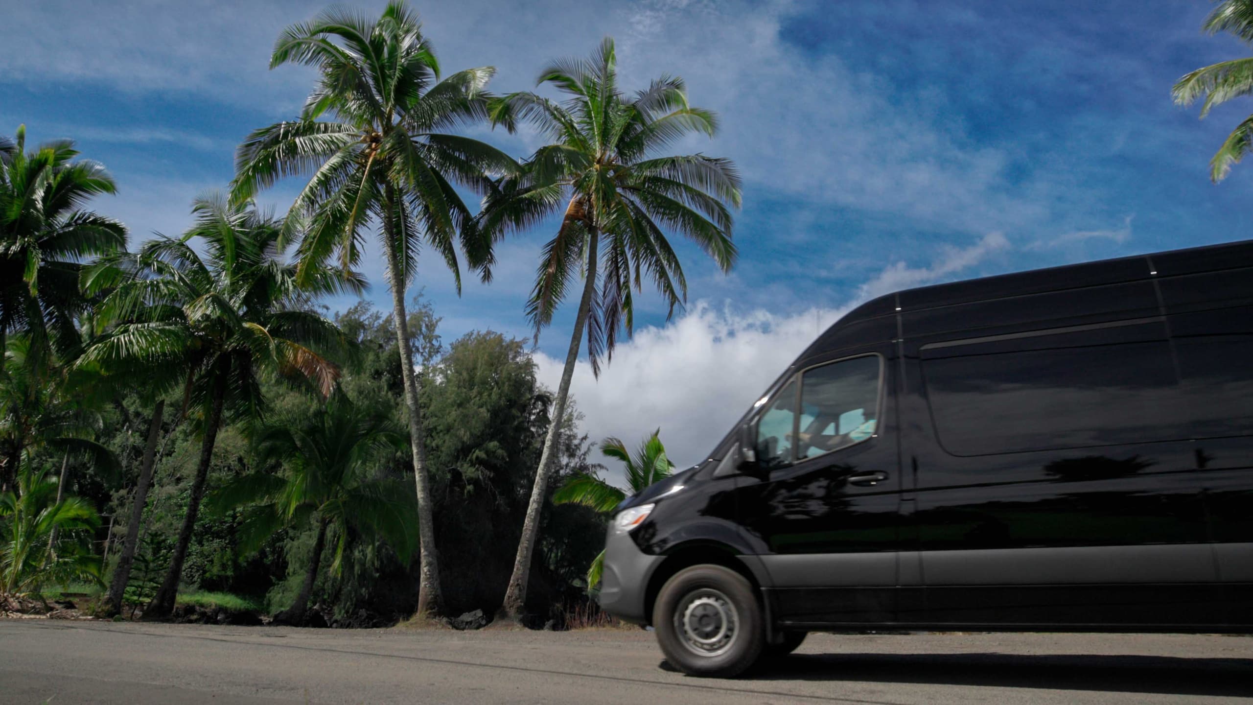 Private Tour: Road to Hana or Haleakala & Iao Valley Tour