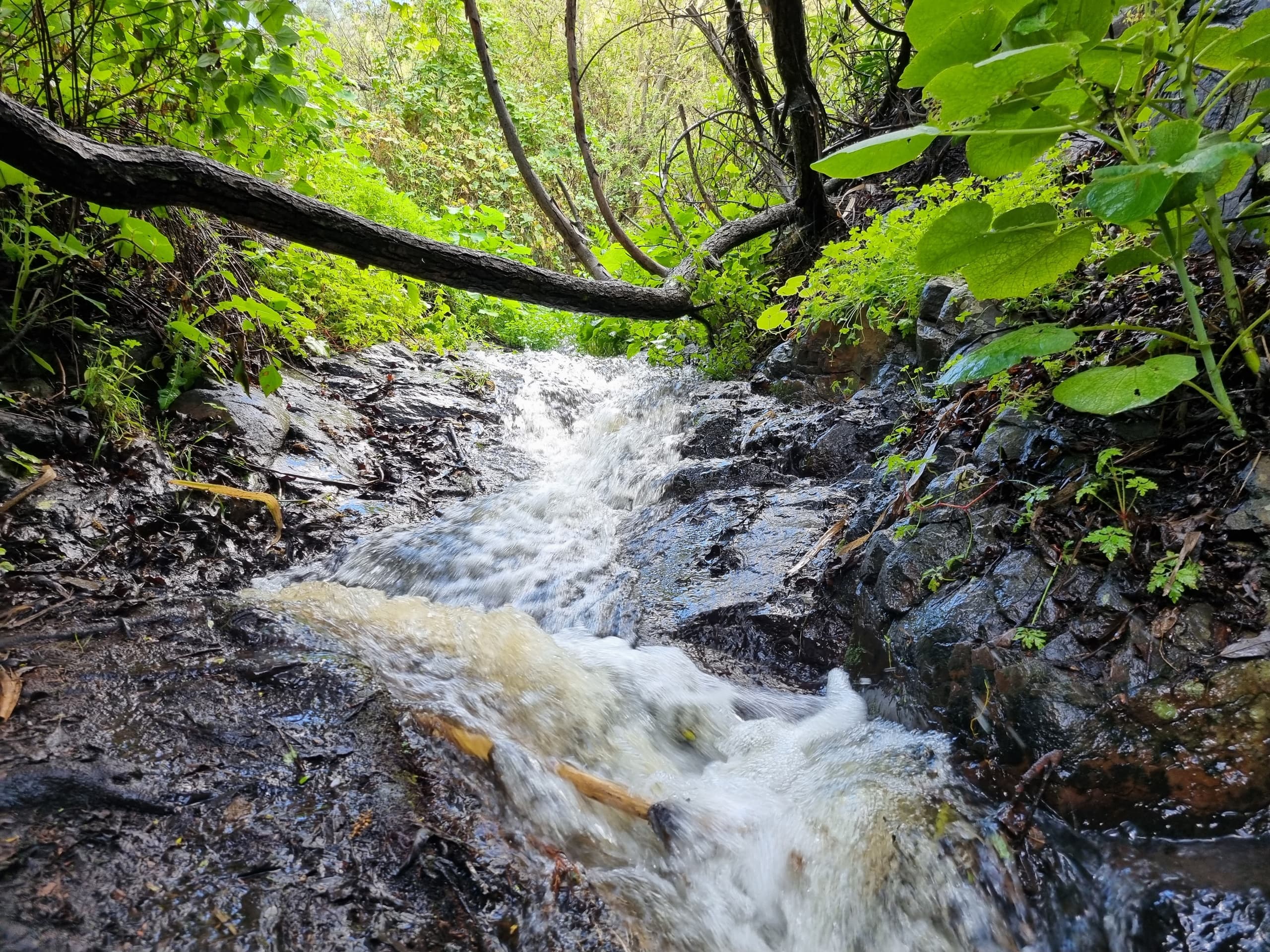 Cascadas Mágicas