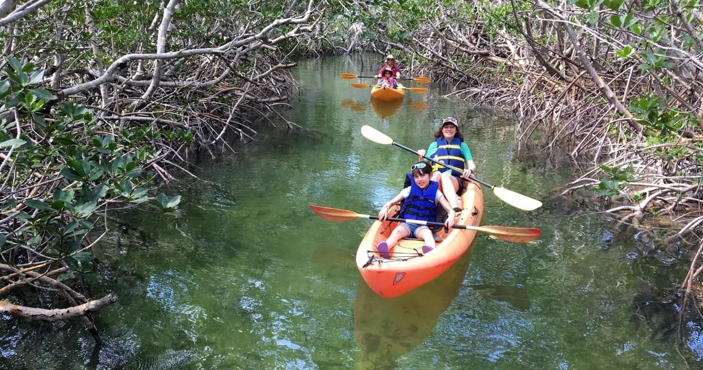 Mangroves & Manatees Guided Eco-Tour