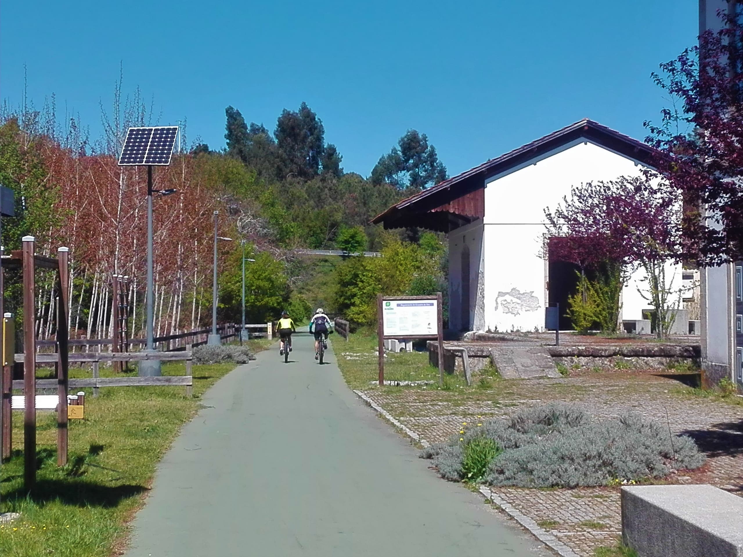 Cycling Ecopista do Dão, full-day from Coimbra