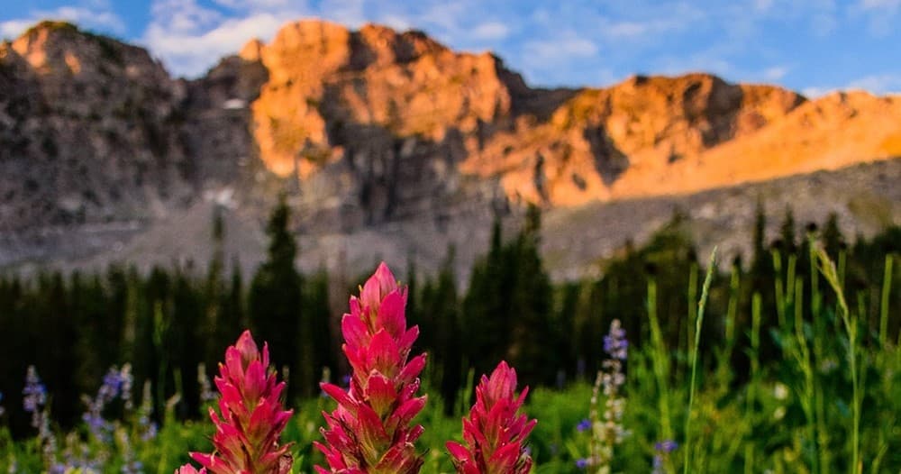 Hike + Mindfulness