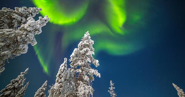 Aurora Snowshoeing