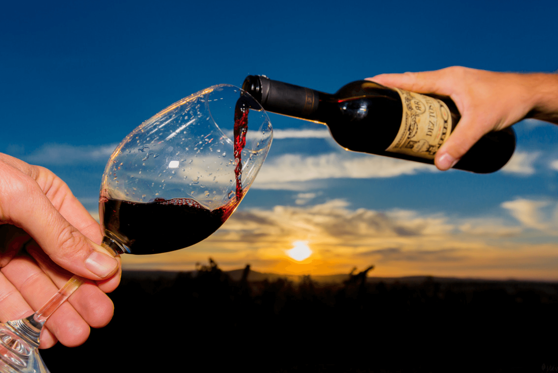 Wine Tasting