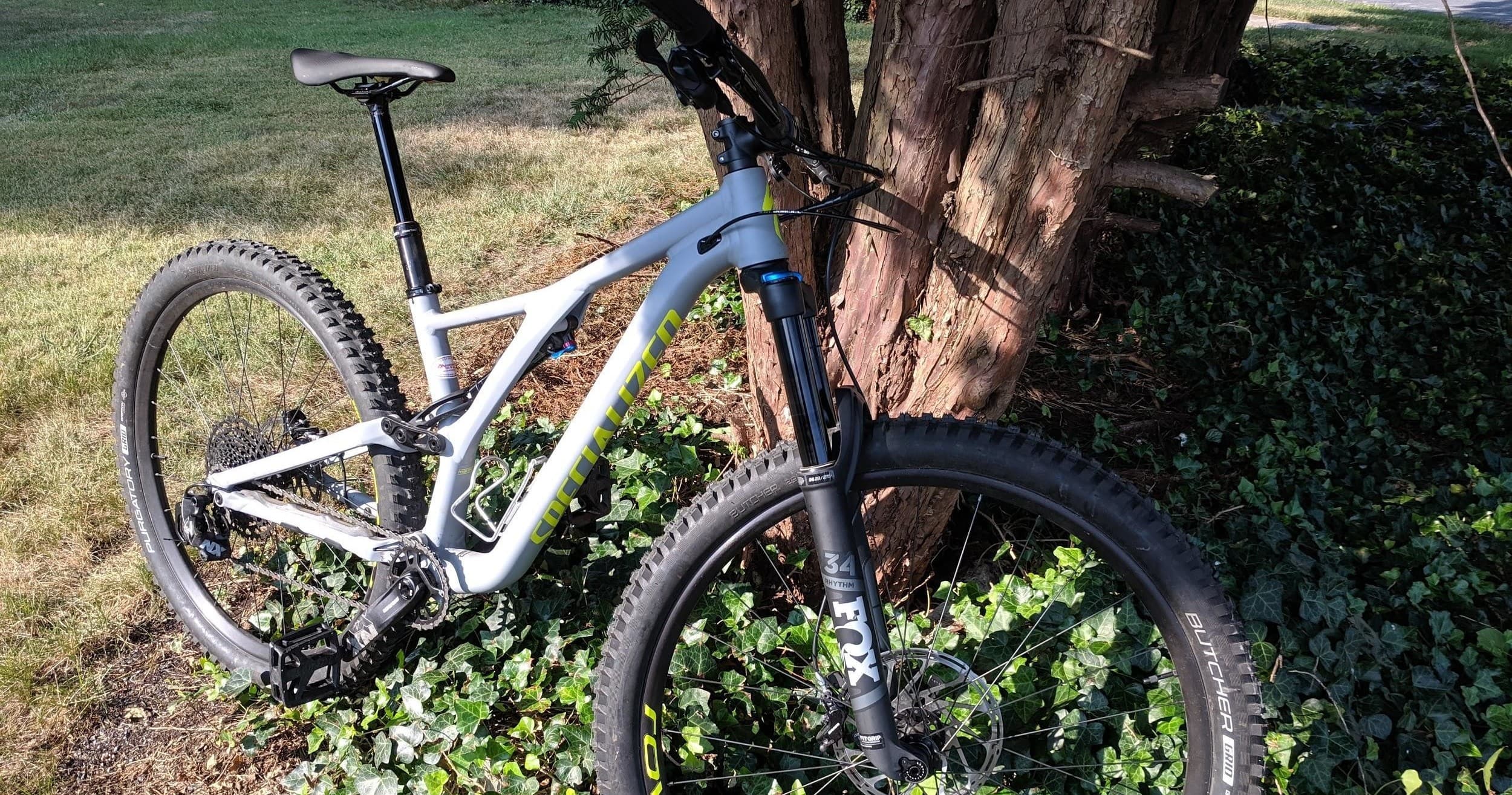 Bike Rentals